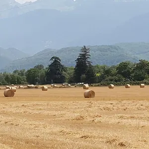 La Santon D'hotes , Vif Francia